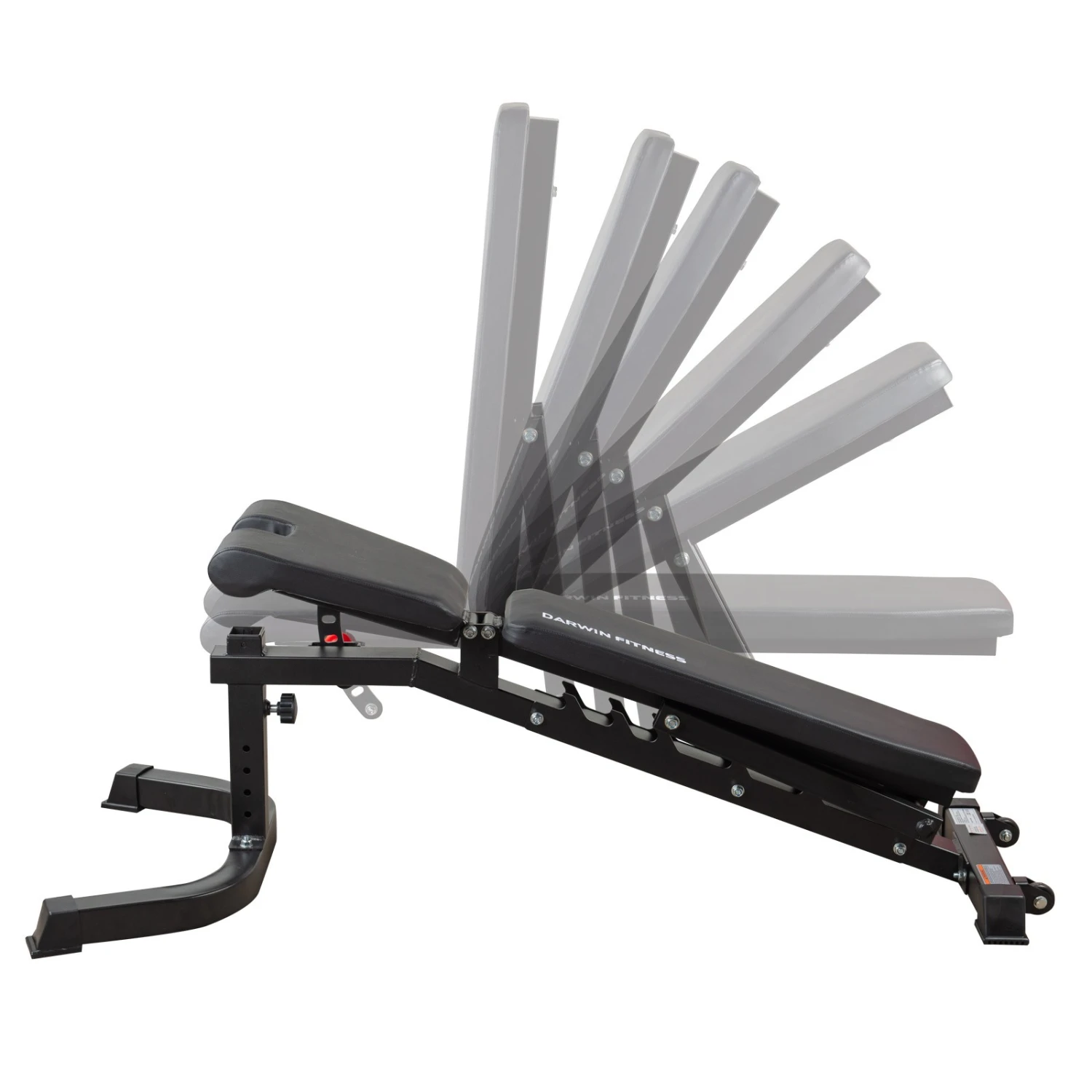 Banc De Musculation Darwin FB90 - Fitshop 2 Banc De Musculation Darwin FB90 - Fitshop – Image 2