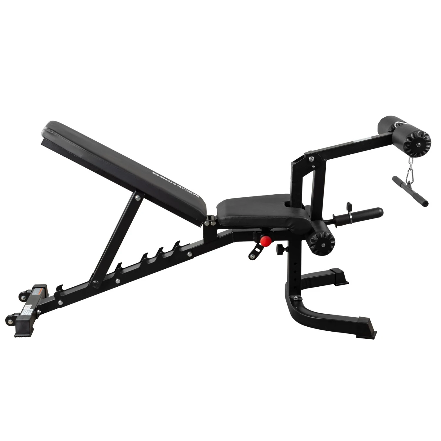Banc De Musculation Darwin FB90 - Fitshop 5 Banc De Musculation Darwin FB90 - Fitshop – Image 5